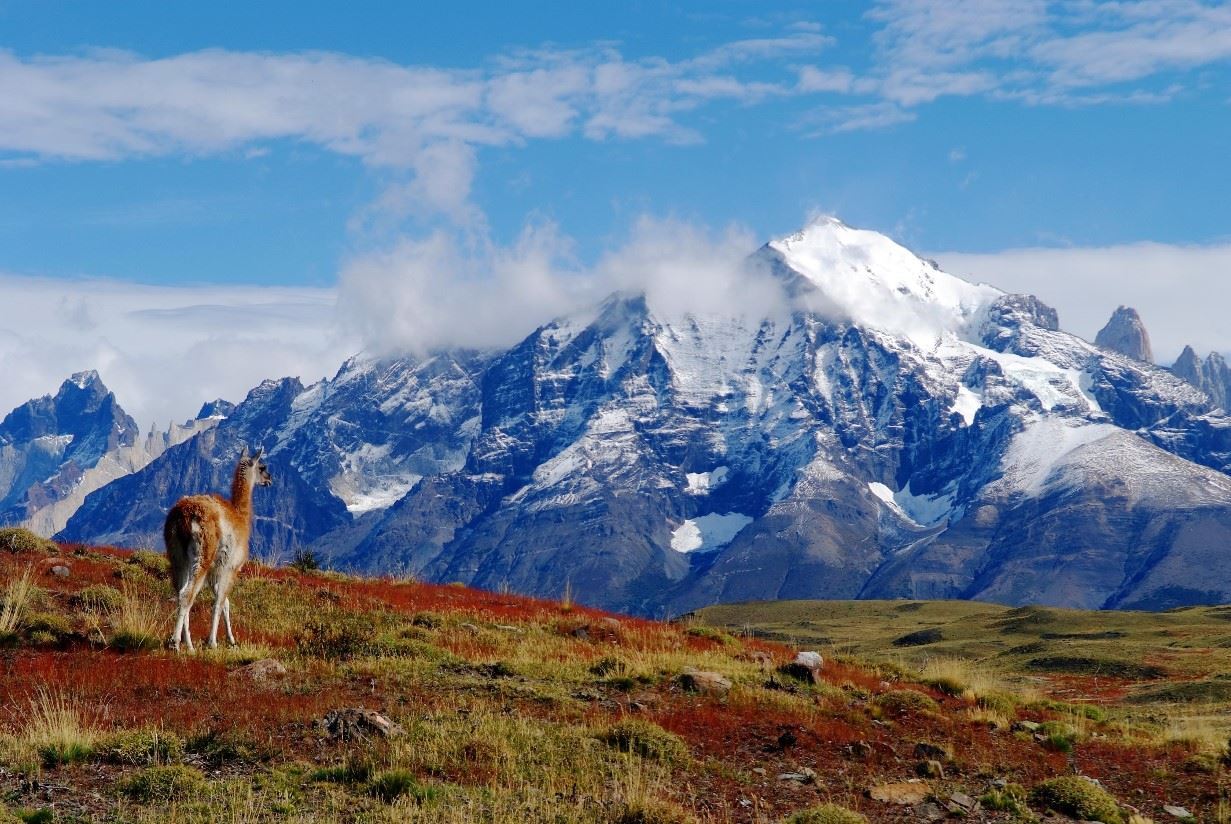 Descobrindo a Patagônia: Aventuras e Paisagens Incríveis entre Argentina e Chile