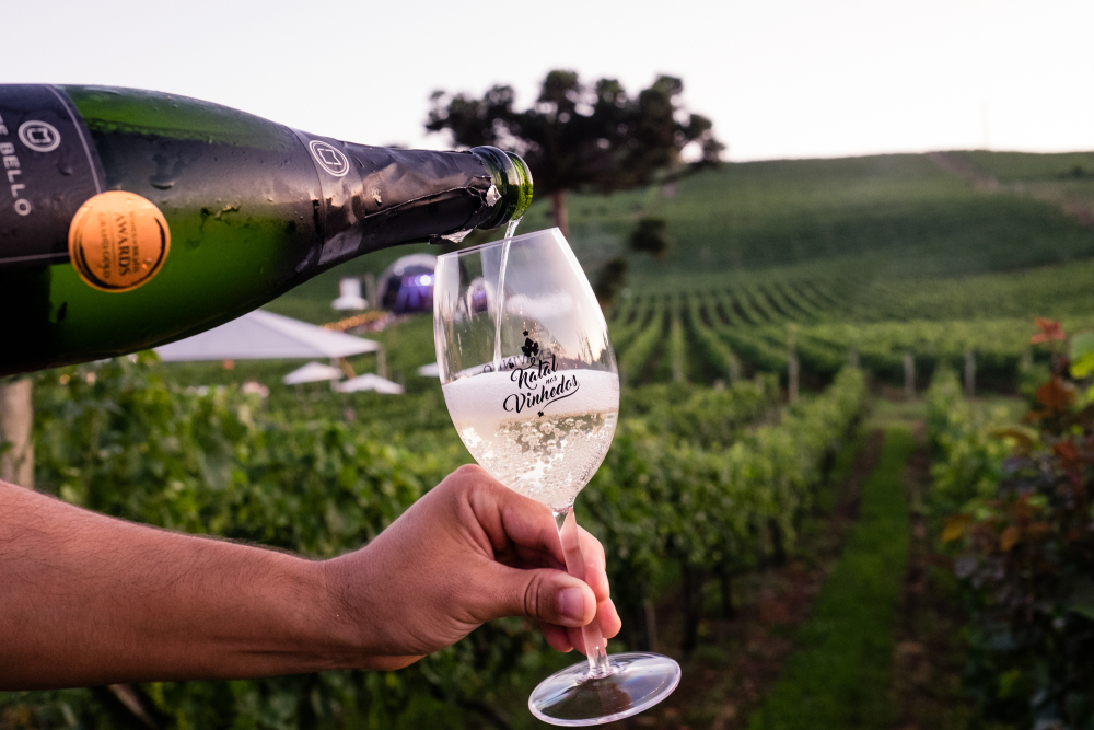 Reprodução: IMAGEM/ VALE DOS VINHEDOS