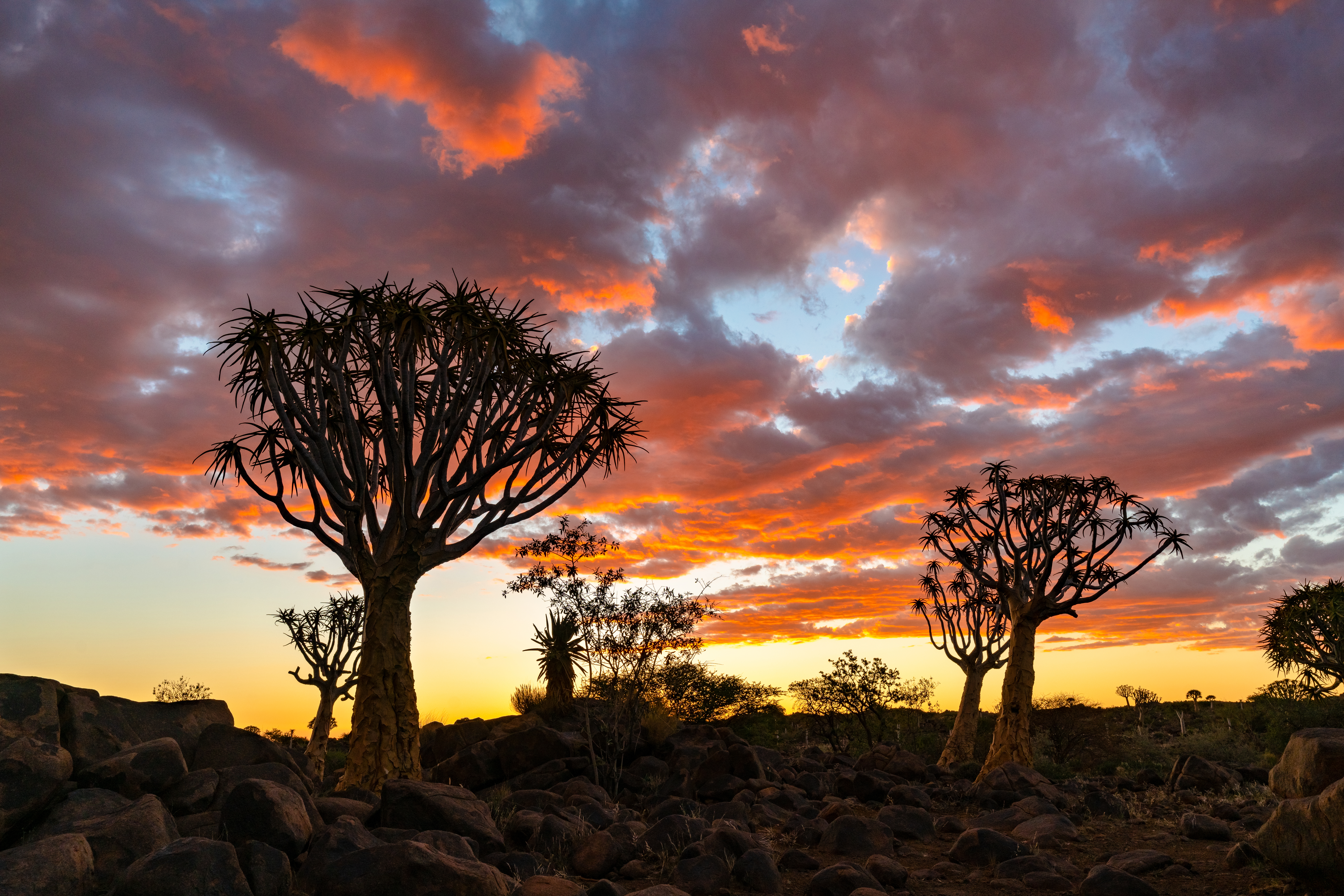 Namíbia e as paisagens extraordinárias do continente africano