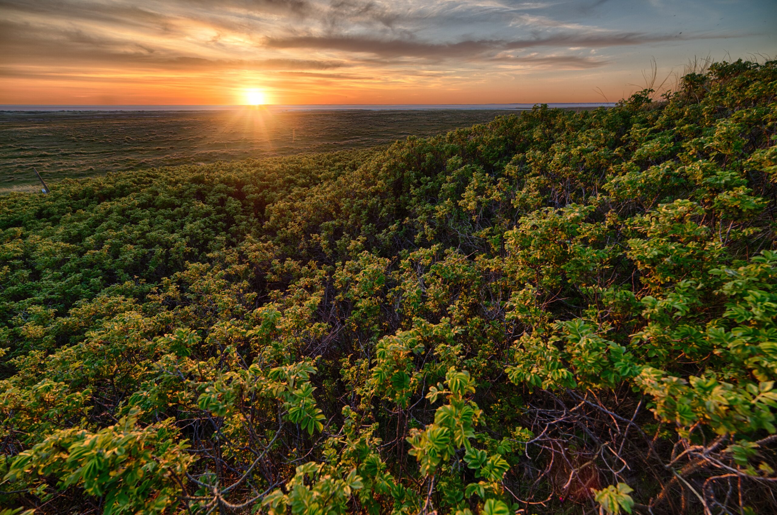Parque Nacional do Jaú: um dos maiores tesouros da Amazônia brasileira
