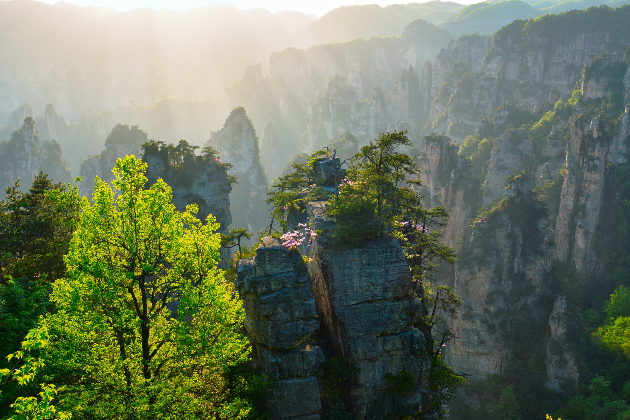Zhangjiajie e a paisagem que redefiniu o turismo de natureza na China
