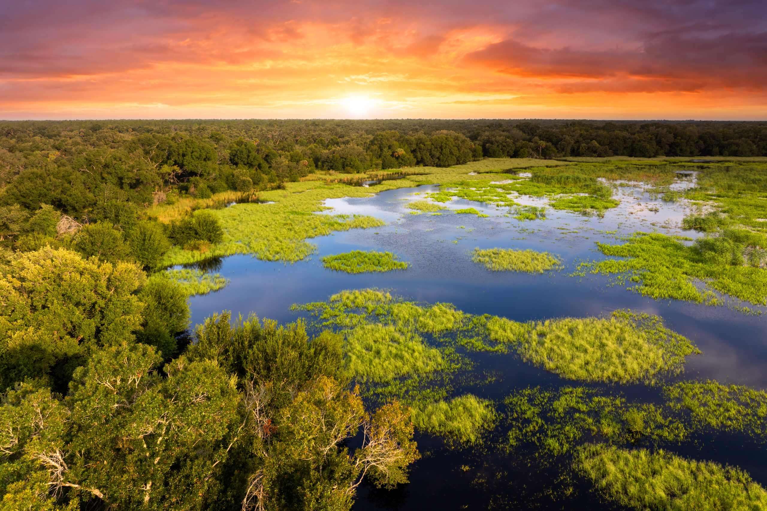 Pantanal: um destino de natureza, aventura e vida selvagem